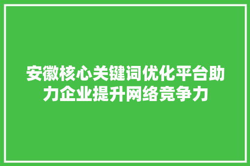 安徽核心关键词优化平台助力企业提升网络竞争力