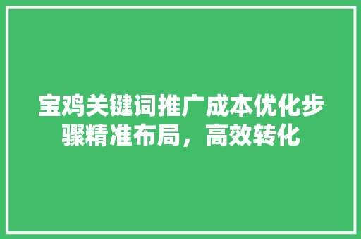 宝鸡关键词推广成本优化步骤精准布局，高效转化