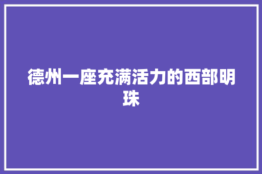 德州一座充满活力的西部明珠  第1张