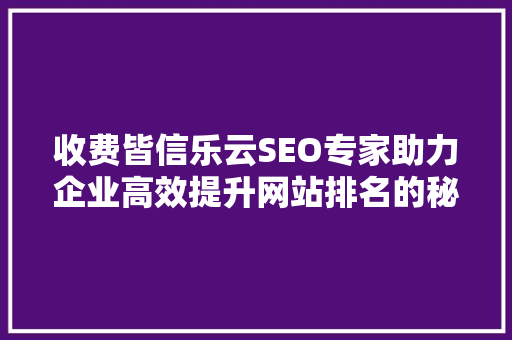 收费皆信乐云SEO专家助力企业高效提升网站排名的秘密武器