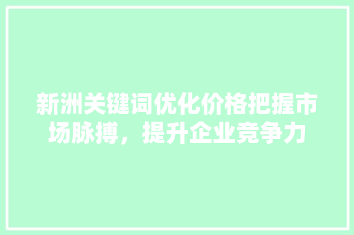 新洲关键词优化价格把握市场脉搏，提升企业竞争力
