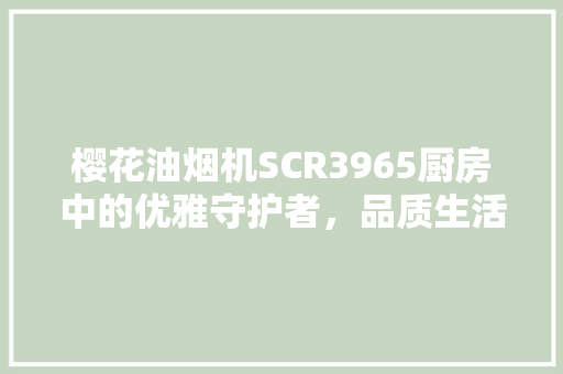 樱花油烟机SCR3965厨房中的优雅守护者，品质生活的必备之选