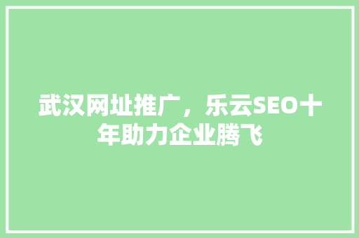 武汉网址推广，乐云SEO十年助力企业腾飞  第1张