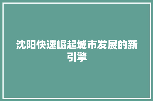 沈阳快速崛起城市发展的新引擎