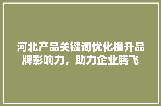 河北产品关键词优化提升品牌影响力，助力企业腾飞