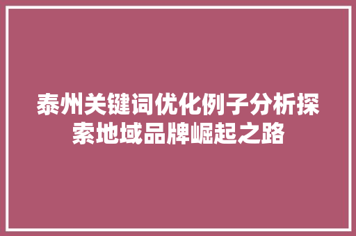 泰州关键词优化例子分析探索地域品牌崛起之路
