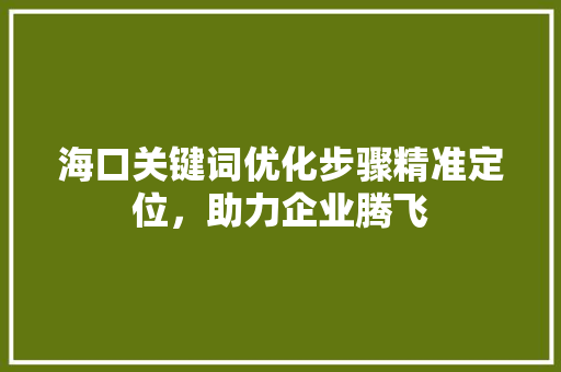 海口关键词优化步骤精准定位，助力企业腾飞