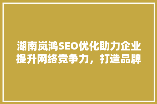 湖南岚鸿SEO优化助力企业提升网络竞争力，打造品牌新高度  第1张