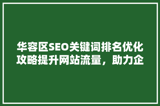 华容区SEO关键词排名优化攻略提升网站流量，助力企业腾飞