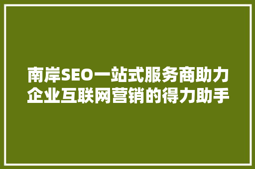 南岸SEO一站式服务商助力企业互联网营销的得力助手