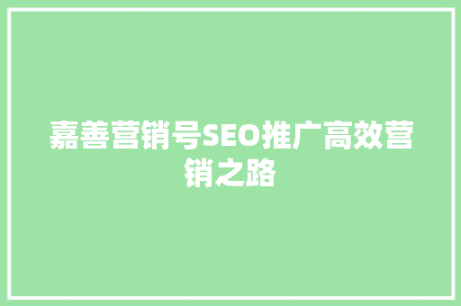 嘉善营销号SEO推广高效营销之路