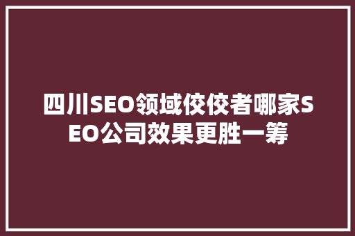 四川SEO领域佼佼者哪家SEO公司效果更胜一筹