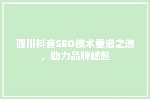 四川抖音SEO技术靠谱之选，助力品牌崛起