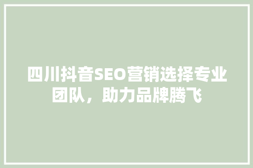 四川抖音SEO营销选择专业团队，助力品牌腾飞