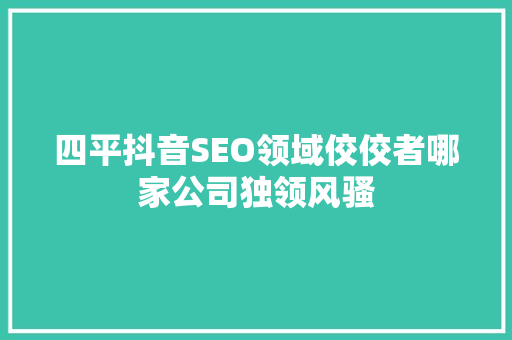 四平抖音SEO领域佼佼者哪家公司独领风骚