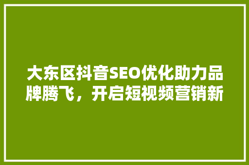 大东区抖音SEO优化助力品牌腾飞，开启短视频营销新篇章