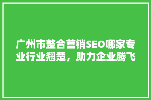 广州市整合营销SEO哪家专业行业翘楚，助力企业腾飞