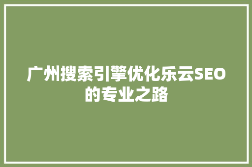 广州搜索引擎优化乐云SEO的专业之路