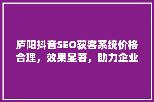 庐阳抖音SEO获客系统价格合理，效果显著，助力企业腾飞