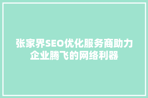 张家界SEO优化服务商助力企业腾飞的网络利器
