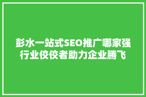 彭水一站式SEO推广哪家强行业佼佼者助力企业腾飞