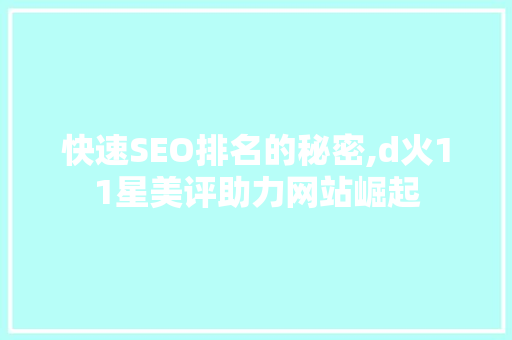 快速SEO排名的秘密,d火11星美评助力网站崛起