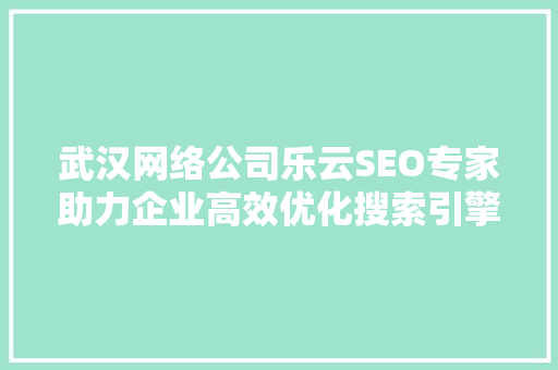武汉网络公司乐云SEO专家助力企业高效优化搜索引擎排名