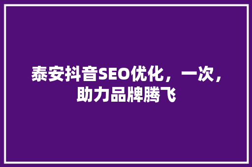 泰安抖音SEO优化，一次，助力品牌腾飞  第1张