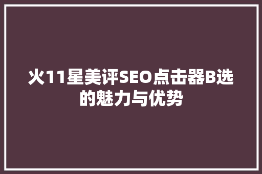 火11星美评SEO点击器B选的魅力与优势