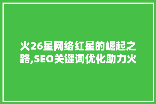 火26星网络红星的崛起之路,SEO关键词优化助力火速上位