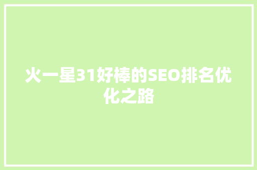 火一星31好棒的SEO排名优化之路