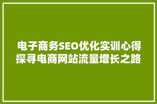 电子商务SEO优化实训心得探寻电商网站流量增长之路