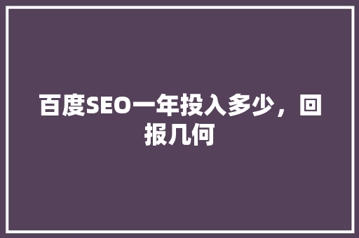 百度SEO一年投入多少，回报几何