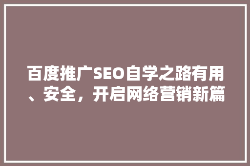 百度推广SEO自学之路有用、安全，开启网络营销新篇章