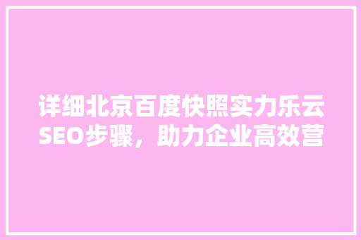详细北京百度快照实力乐云SEO步骤，助力企业高效营销