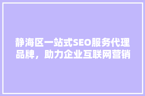 静海区一站式SEO服务代理品牌，助力企业互联网营销新篇章