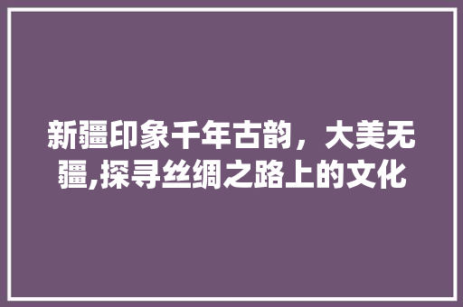 新疆印象千年古韵，大美无疆,探寻丝绸之路上的文化瑰宝_新疆印象关键词优化软件
