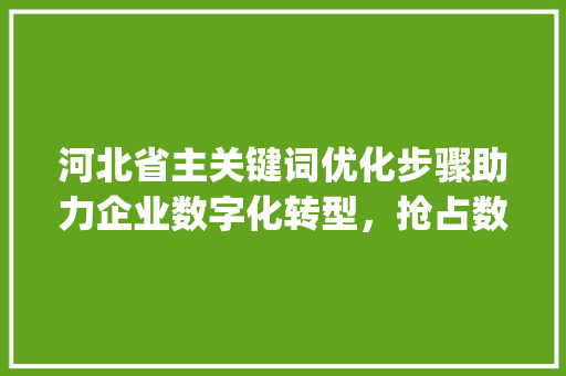 河北省主关键词优化步骤助力企业数字化转型，抢占数字经济先机_河北主关键词优化方法