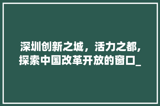 深圳创新之城，活力之都,探索中国改革开放的窗口_深圳关键词的优化