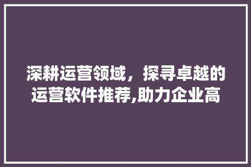 深耕运营领域，探寻卓越的运营软件推荐,助力企业高效发展_关键词优化运营软件推荐