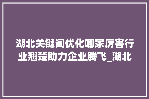湖北关键词优化哪家厉害行业翘楚助力企业腾飞_湖北关键词优化哪家厉害