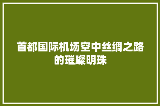 首都国际机场空中丝绸之路的璀璨明珠
