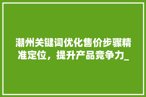 潮州关键词优化售价步骤精准定位，提升产品竞争力_潮州关键词优化售价