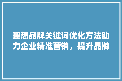 理想品牌关键词优化方法助力企业精准营销，提升品牌影响力_理想品牌关键词优化方法