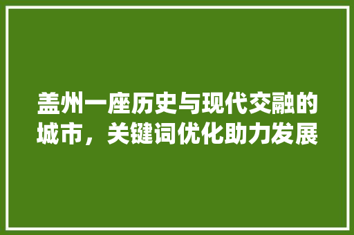 盖州一座历史与现代交融的城市，关键词优化助力发展_盖州网站关键词优化