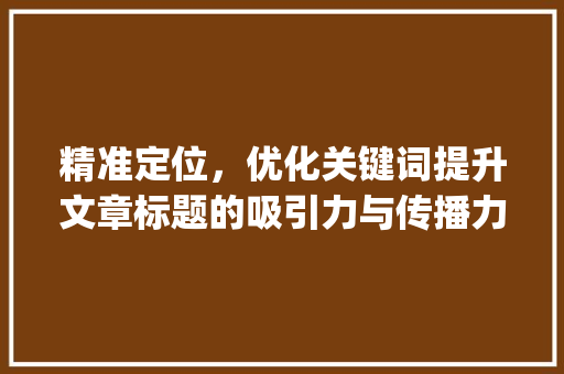 精准定位，优化关键词提升文章标题的吸引力与传播力_如何优化标题提高关键词