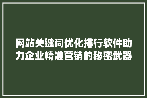 网站关键词优化排行软件助力企业精准营销的秘密武器_网站关键词优化排行软件  第1张