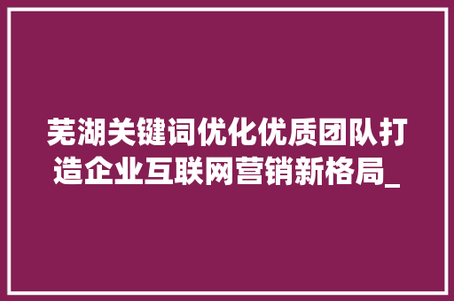 芜湖关键词优化优质团队打造企业互联网营销新格局_芜湖关键词优化优质团队