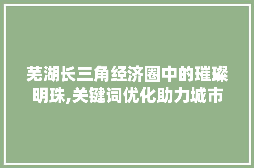 芜湖长三角经济圈中的璀璨明珠,关键词优化助力城市发展_芜湖网站关键词优化
