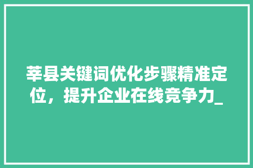 莘县关键词优化步骤精准定位，提升企业在线竞争力_莘县关键词优化单价